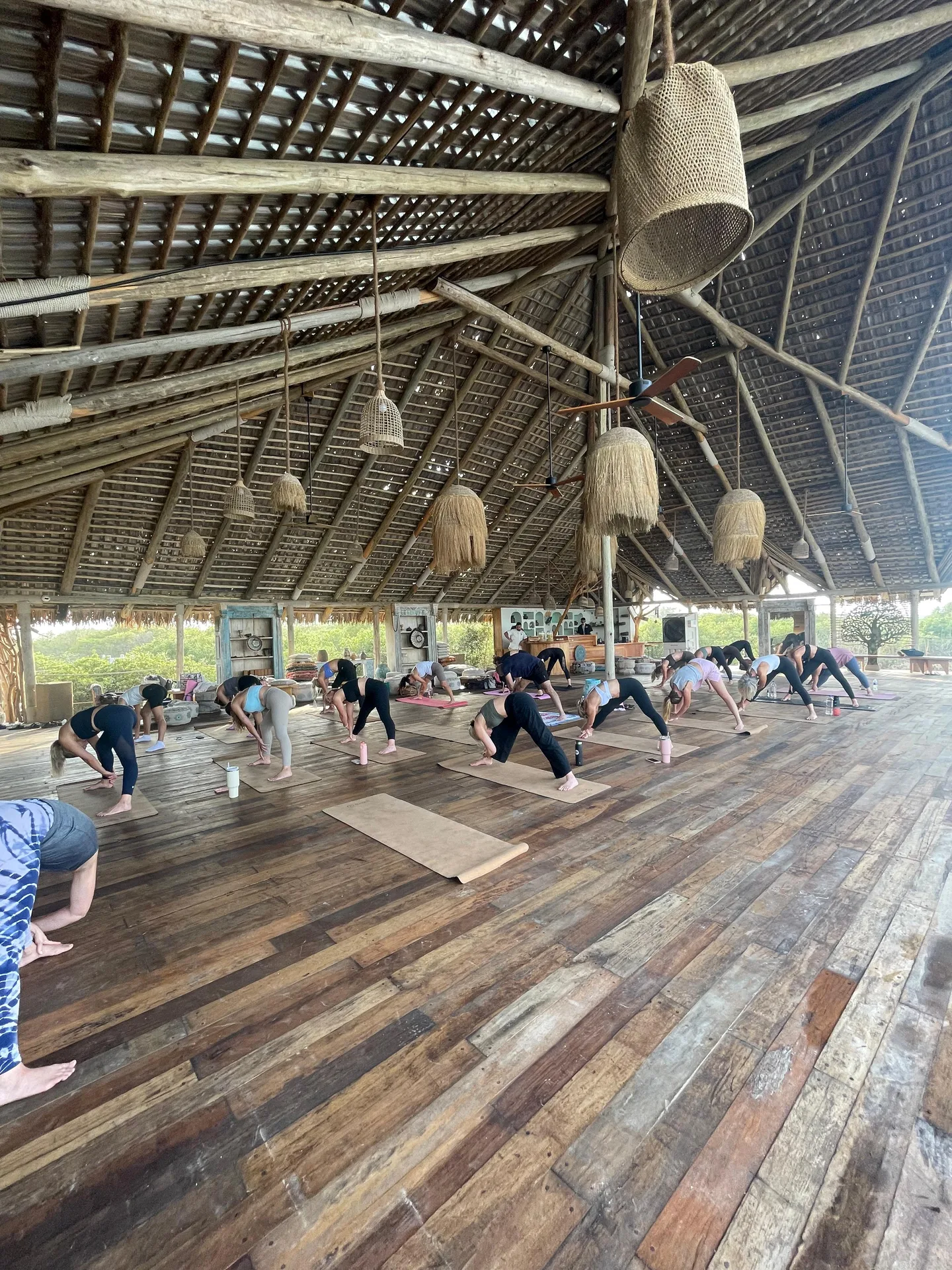 Agile movement therapy session